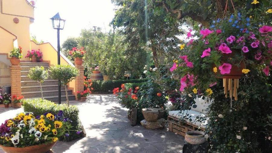 Bed And Breakfast Val Di Lupa Кастелліна-Мариттіма Екстер'єр фото
